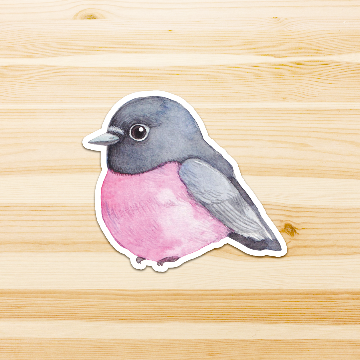 Watercolour By Cat - Vendita all'ingrosso Adesivo - Adesivo in vinile con grande uccello australiano12