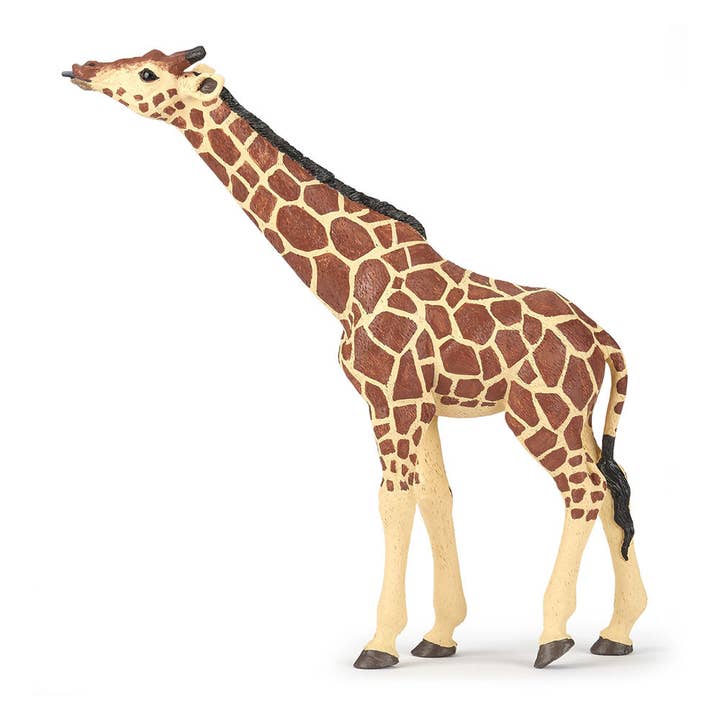 PAPO Wild Animal Kingdom Giraffe Head Up Toy Figure (50236) for wholesale by Meroncourt Europe Ltd