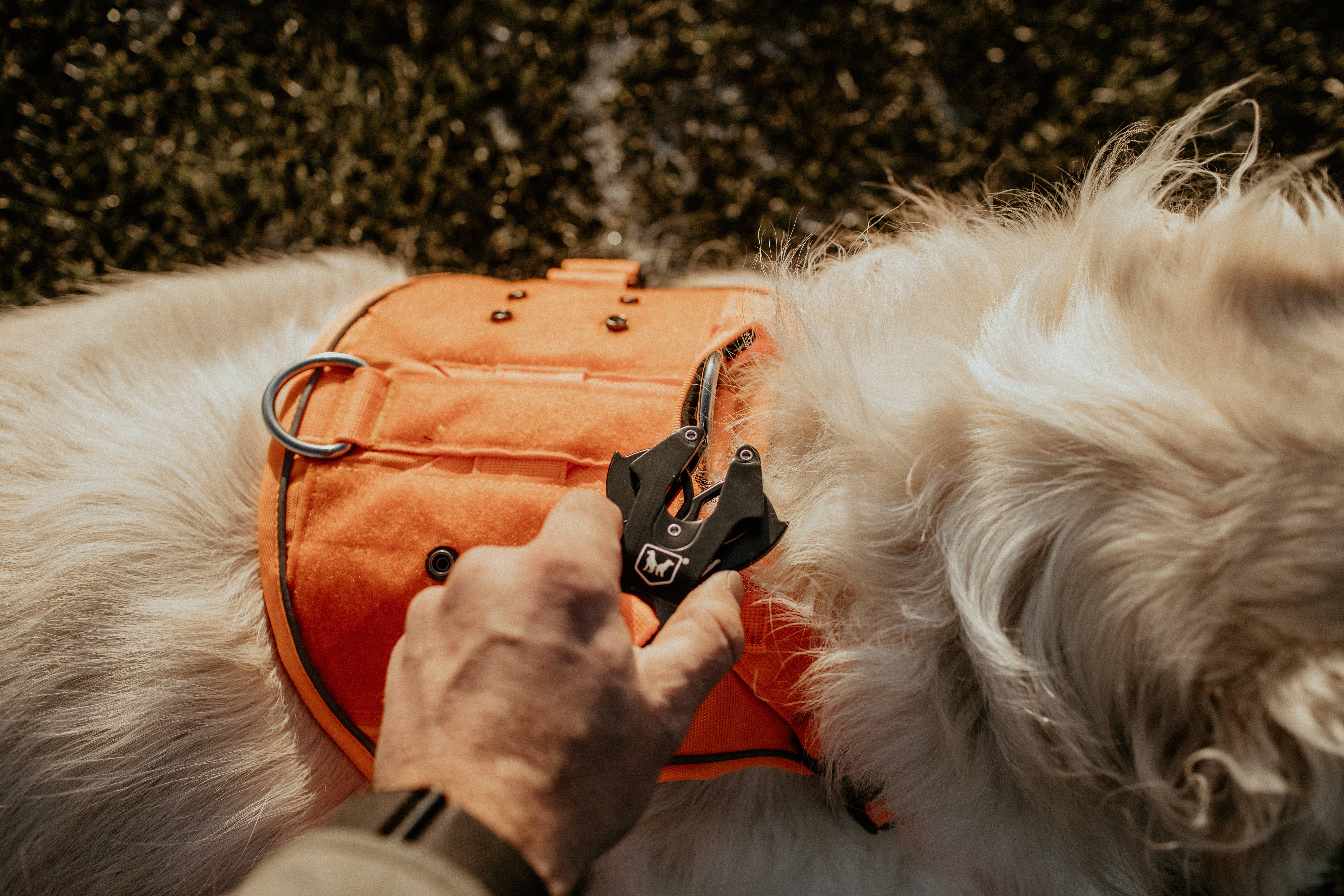 BOSS DOG BRAND, INC. - Wholesale Pet Harness - Dog - Boss Dog Harness56