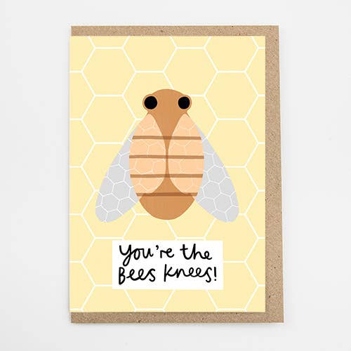 Bin Knän för wholesale av Alison Hardcastle