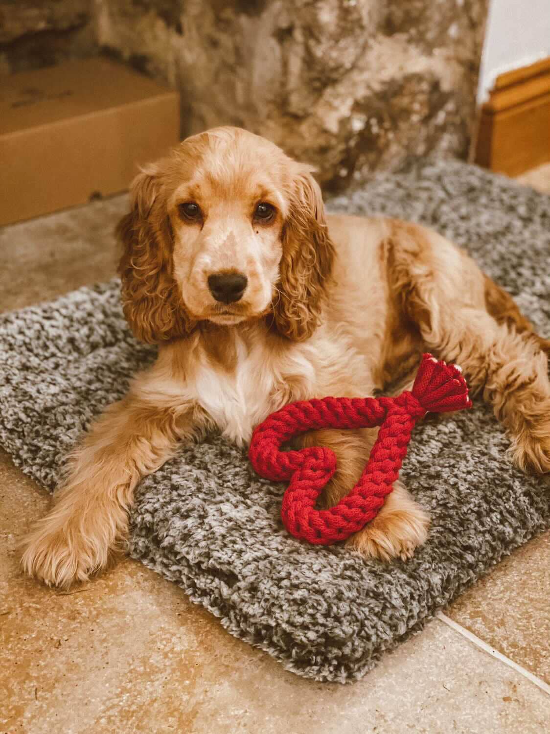 Muttsie UK – wholesale Pet rope toy – Dog – Heart Dog Toy9