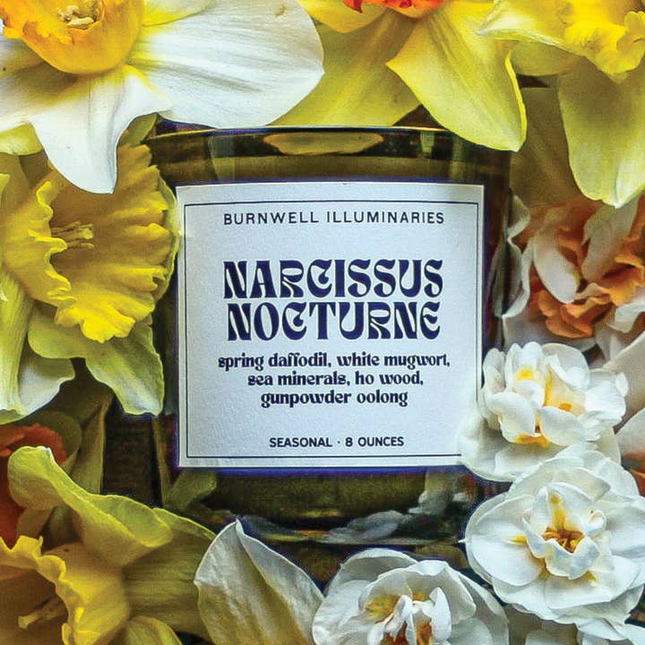 Barnaby Black - Wholesale Jar/Filled Candle - NARCISSUS NOCTURNE - BURNWELL CANDLE