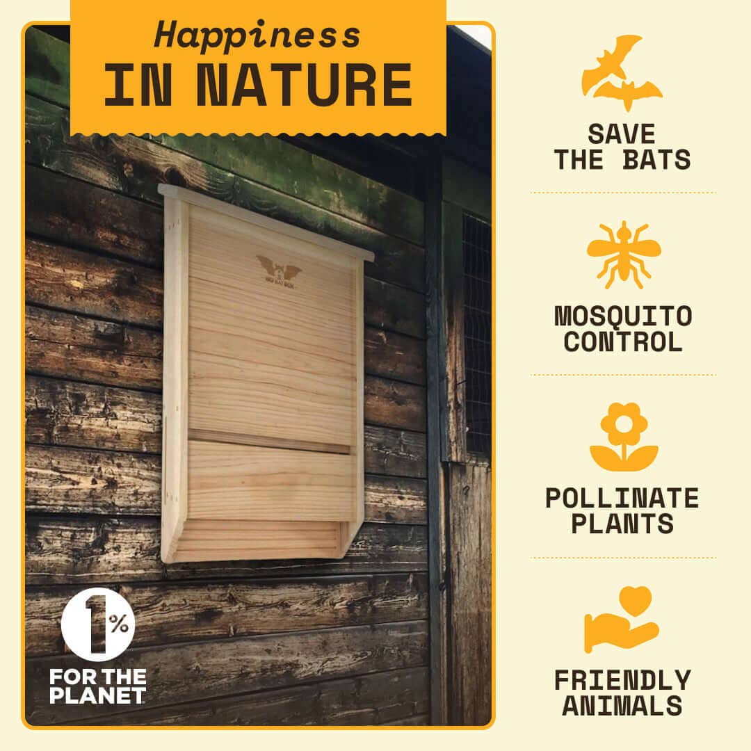 Big Bat Box – Großhandel Vogelhäuser – Drei-Kammer-Fledermaushaus – Premium-Zedern-Fledermauskasten (Zeder)4