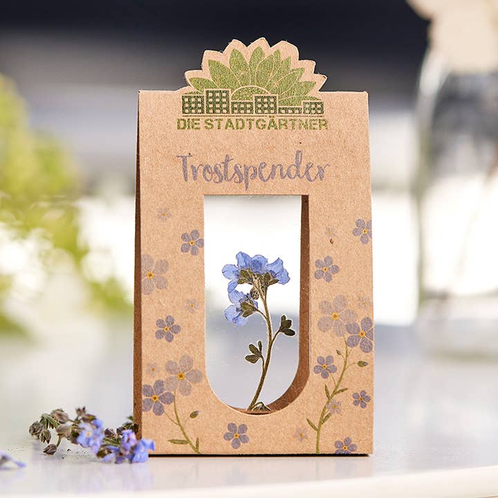 consolazione per la vendita all'ingrosso da parte di TDJ Stadtgärtner GmbH