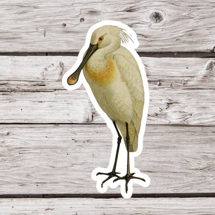 NatureCuts - Wholesale Sticker - Spoonbill Sticker, Bird Sticker, Ornithology Sticker0
