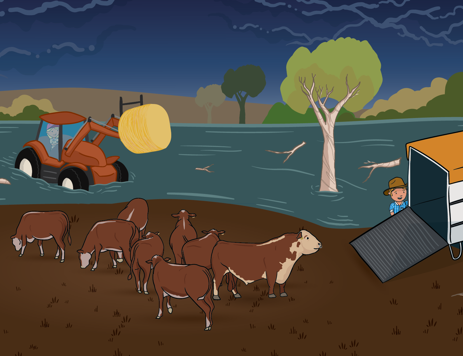 George the Farmer - Wholesale Preschool Book (3-5) - George the Farmer Beef Bonanza Picture Book4