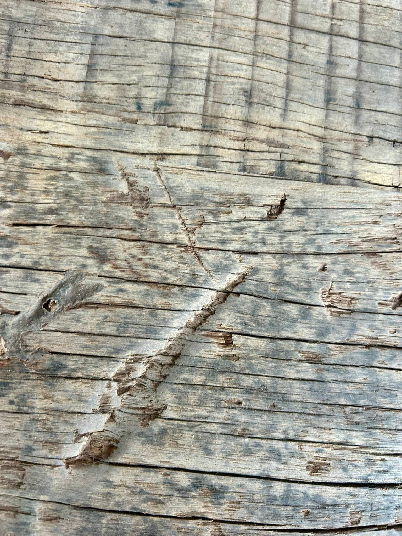 Paloma Black (Casa Natura Design, S.L.) – wholesale Sideboard – Large Functional Sideboard With 5 Drawers And 2 Open5