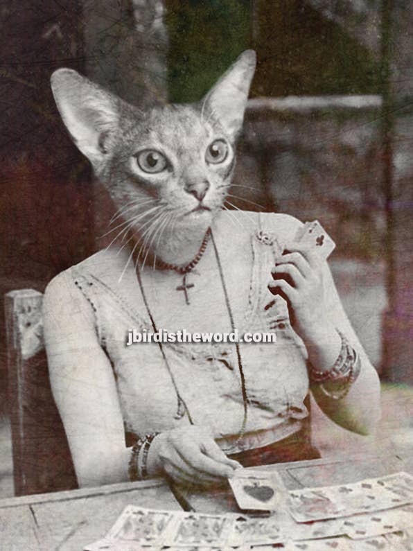 Gypsy Style, Fortune Teller, Esoteric Art, Cat Print Witch for wholesale by The Wild Oddisorium