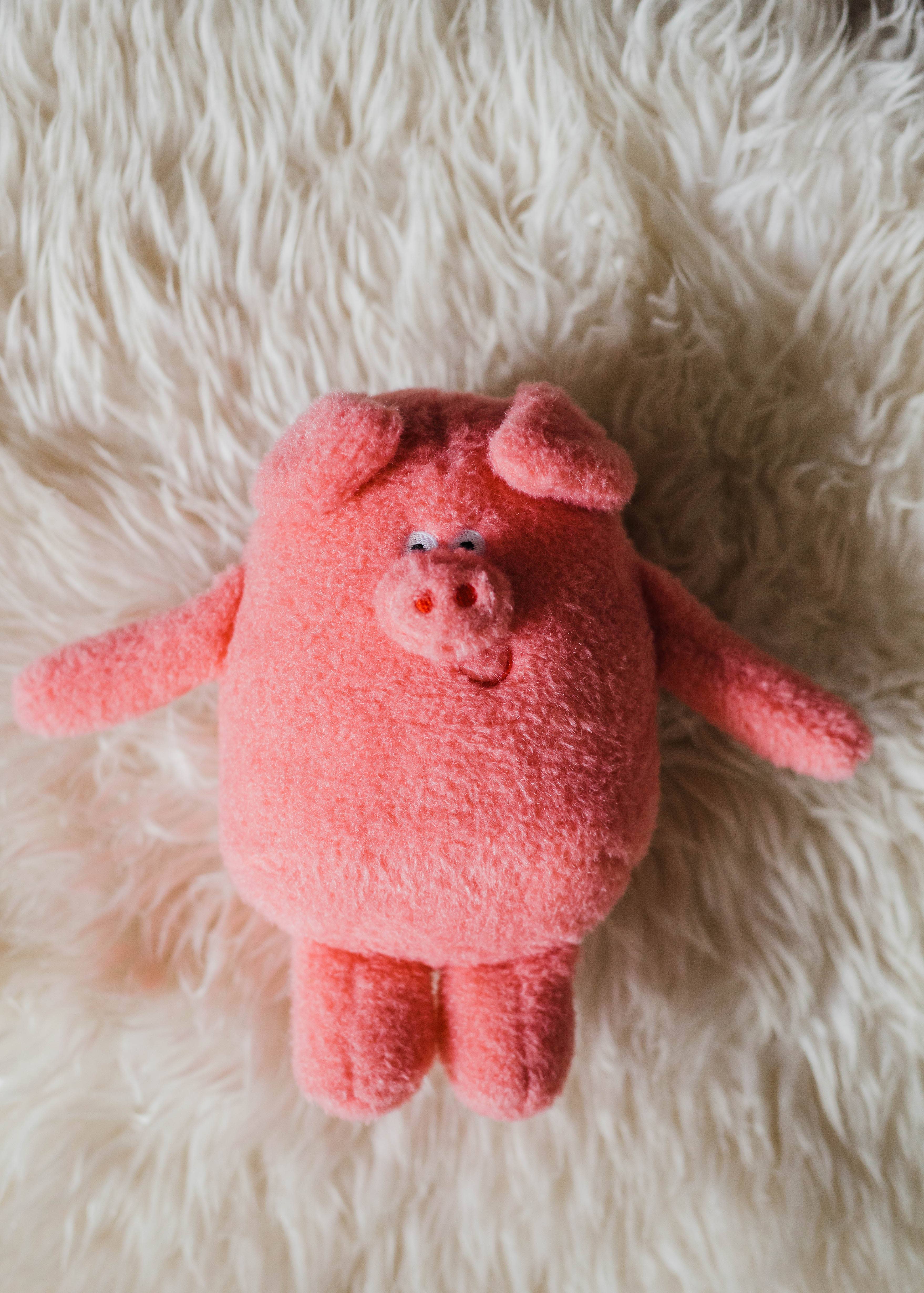 Penny and Lola - Vendita all'ingrosso Peluche - Bambini e neonati - Pig - The Happy Song Toys2