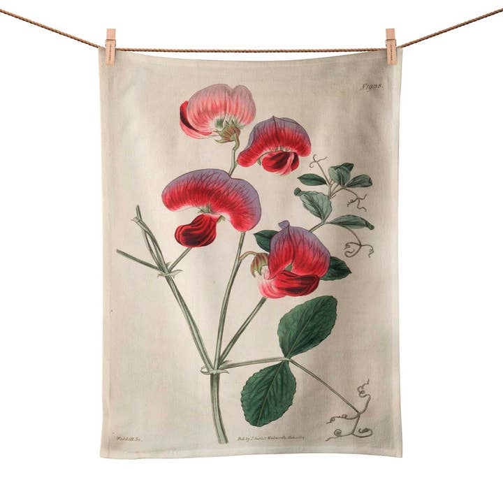 Perennial Sweetpea - Botanical Tea Towel for wholesale by ART CUSHIONS