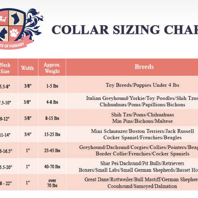 House of FurBaby - Wholesale Pet collar – Cat/dog - Sniffany Blue Chrome Personalizable Pet Collar2