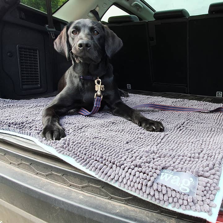 Henry Wag - Wholesale Pet mat – Dog - Henry Wag Microfibre Noodle Pet Mat3