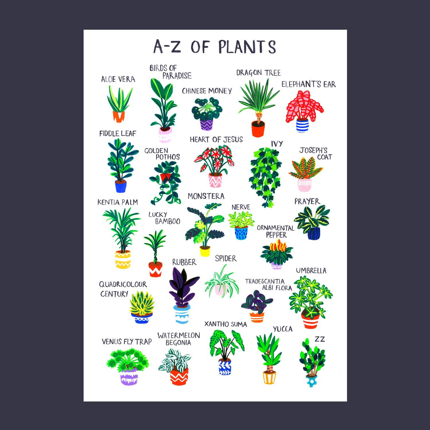 House Of Payne – wholesale Art print – Plant Print |  A-Z of Plants Wall Art | Poster Print0