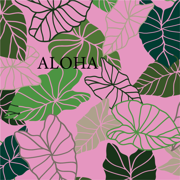 Adventure Hawaii – Engroshandel Lommelærke – Kalo | 16 oz vakuumisoleret flaske6