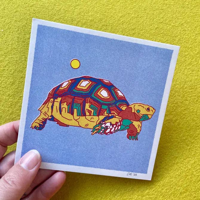 Caroline Clark - Wholesale Postcard - Desert Animal Postcards - Single Design 4 pack
