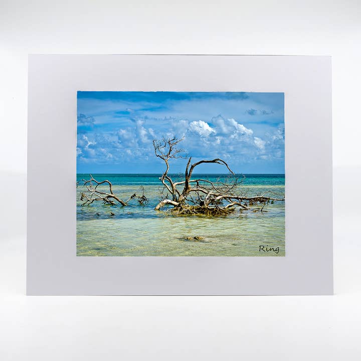 Artwork-Anne's Beach pour la vente par Mike Ring Photography