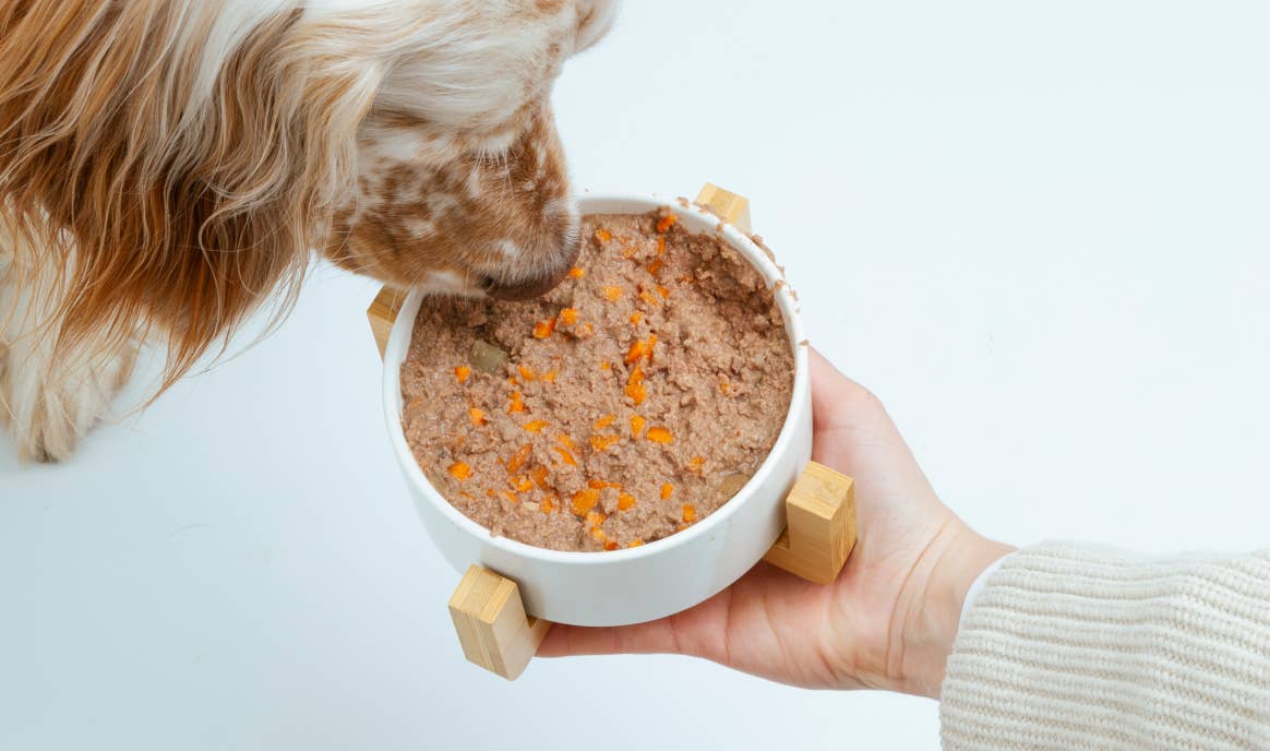 Pettech S.r.l. – Großhandel Tiernahrung – Hund – Schweinefleischragout mit Erbsen für ausgewachsene Hunde4