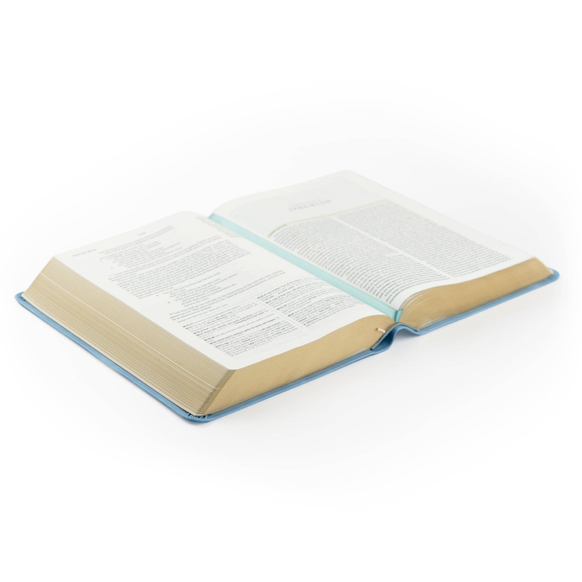 Hosanna Revival - Wholesale Display Book - ESV Study Bible: Bethany Theme7