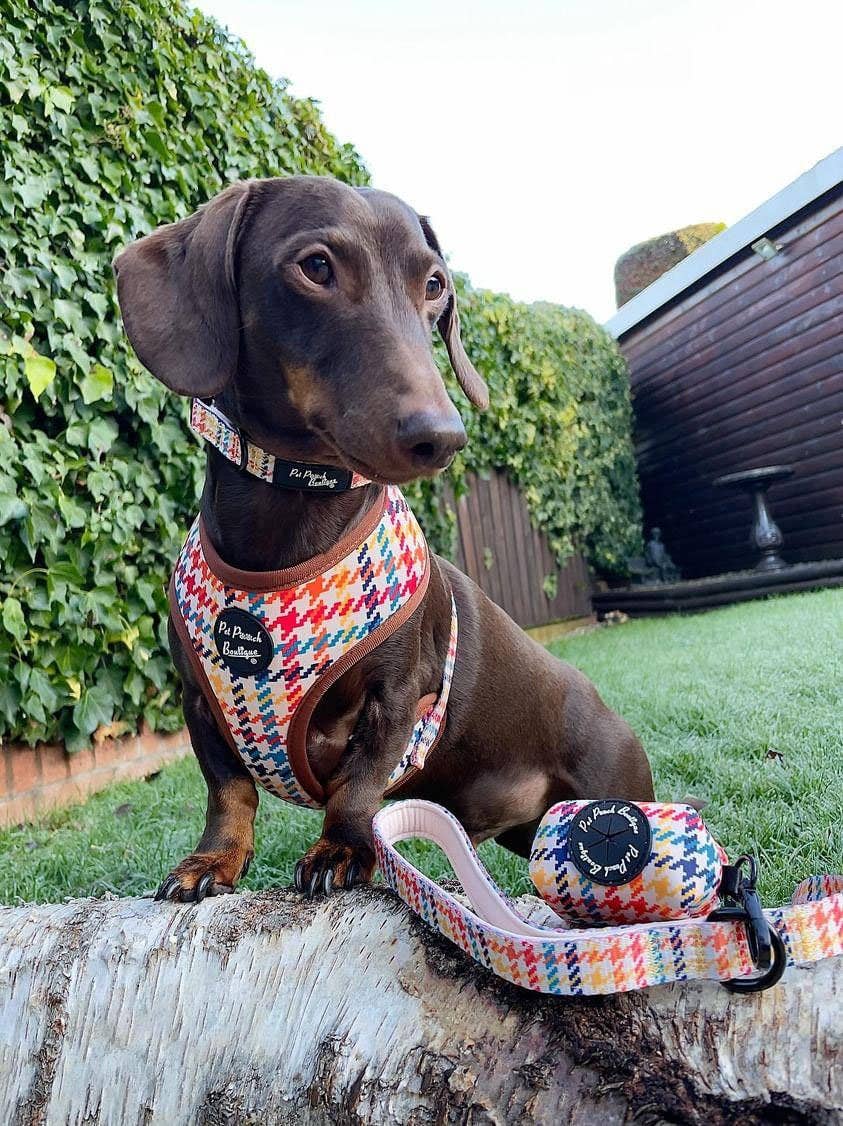 Pet Pooch Boutique - Wholesale Pet Harness - Dog - Lionheart Houndstooth Dog Harness (autumn/dogtooth/brown)6