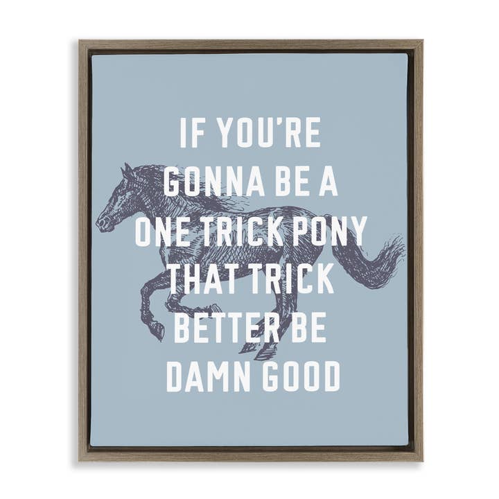 Stupell Industries – wholesale Wall decor – Kids & Baby – One Trick Pony Phrase Floater Framed Art4