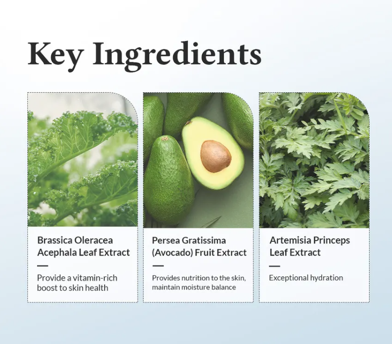 Best Beauty Group - Wholesale Facial Moisturizer - DR ALTHEA 147 Barrier Face Cream 5