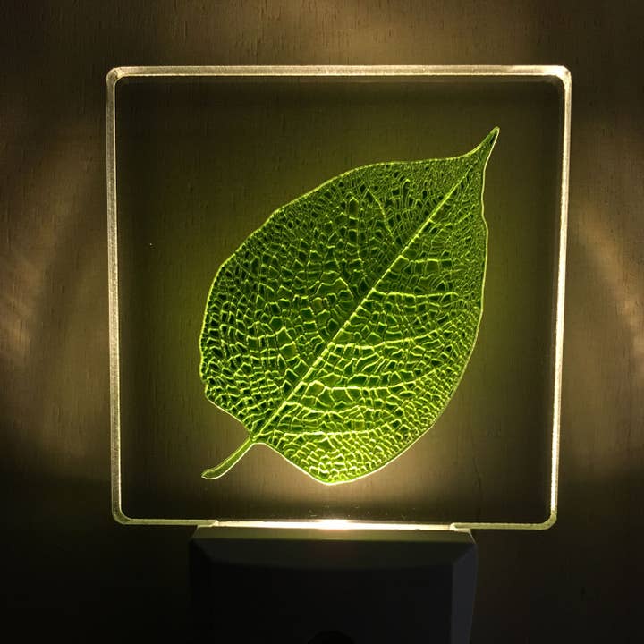 Green leaf nightlight for wholesale by Art of lamp
