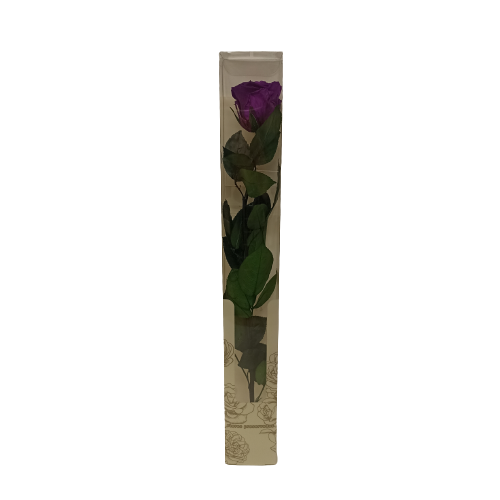 Concari.flores Preservadas - Wholesale Artificial Flowers - ROSE WITH PRESERVED STEM14