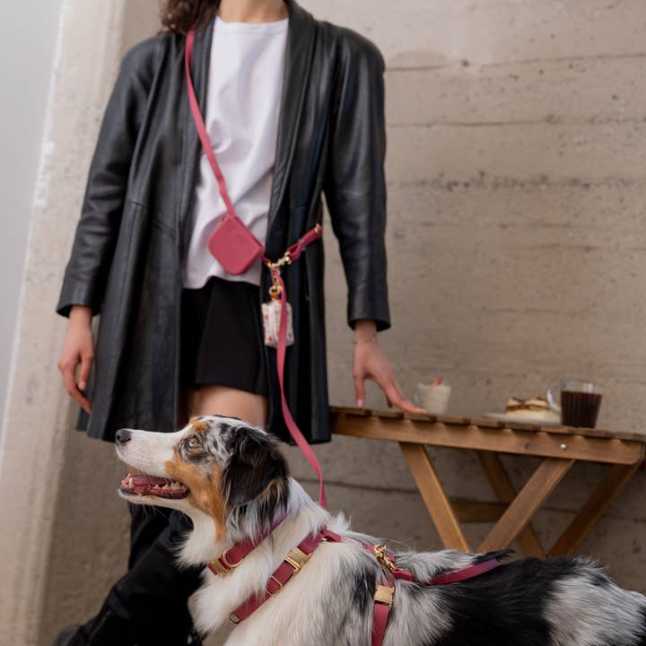 SUNNY TAILS - Vente Laisse – chien - Laisse pour chien Hands Free Cloud convertible 4-en-1 Burgundy1