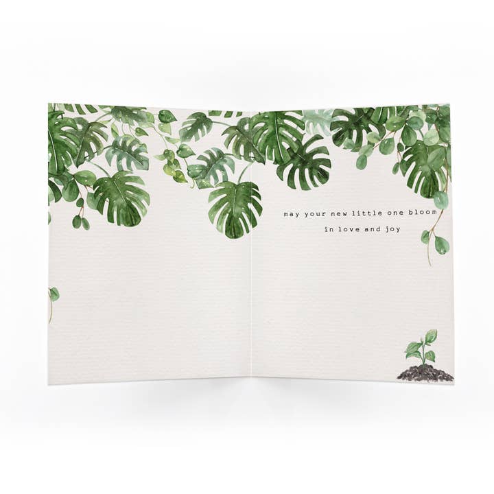 Lizzy & Grace - Wholesale Baby Card - Little Sprout | Congratulations | New Baby | Expecting Card1