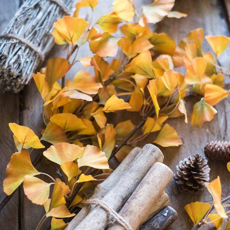 Rustic Reach - Vente Plantes artificielles - Tige de feuille de ginkgo artificielle jaune de 37 pouces de haut6