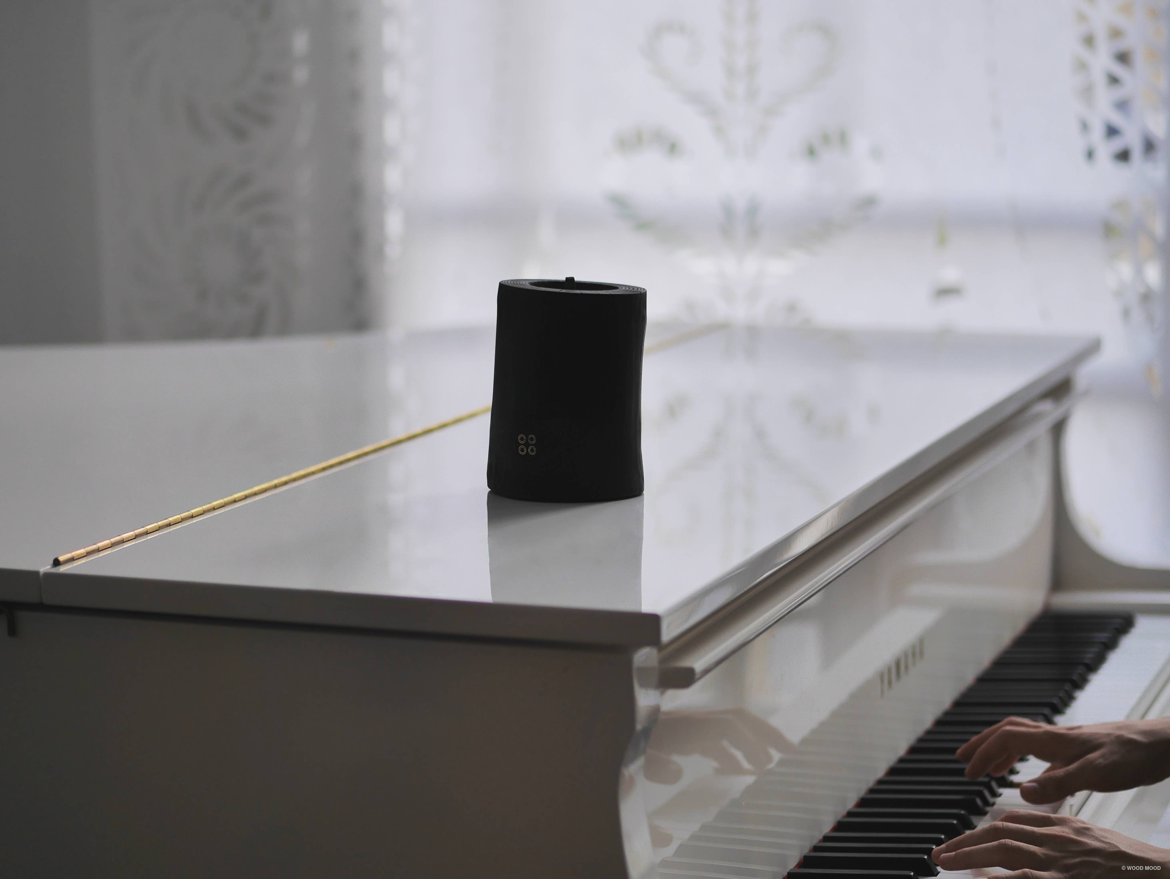 WOOD MOOD – wholesale Burkljus – Cannes Night Garden | återanvändbart ljus med eteriska oljor20