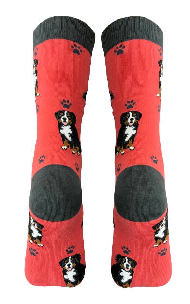 E&amp;S Pets – wholesale Socks – Unisex – Bernese Mt. Dog - Unisex - Fun Novelty Socks - Dog Socks3