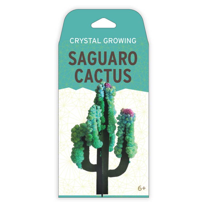 Copernicus Toys - Wholesale DIY Craft Kit - Crystal Growing Saguaro Cactus |
Craft Kit Science Kit2