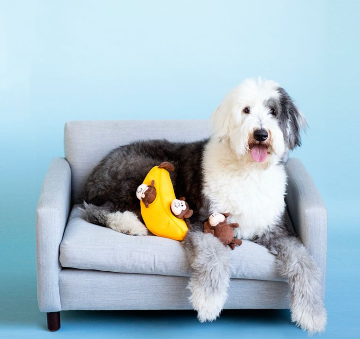 ZippyPaws - Vendita all'ingrosso Peluche - Cani - Zippy Burrow - Scimmietta e banana - Gioco per cani6