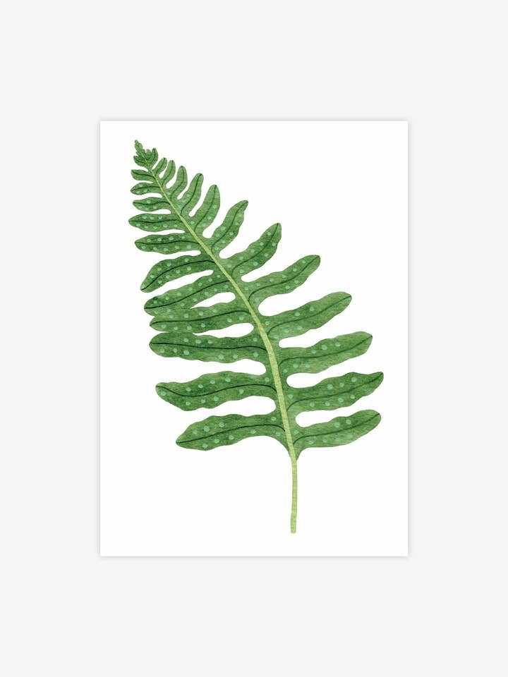 Carte postale Polypody Fern pour la vente par Katrina Sophia