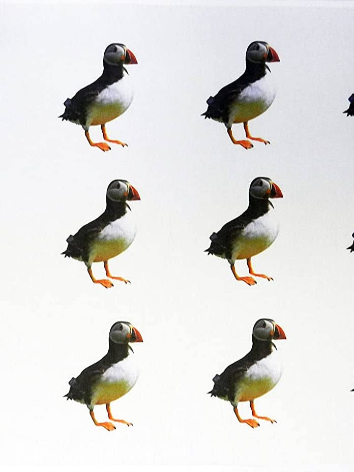 The Puffins Large Cotton Tea Towel for wholesale by Half a Donkey