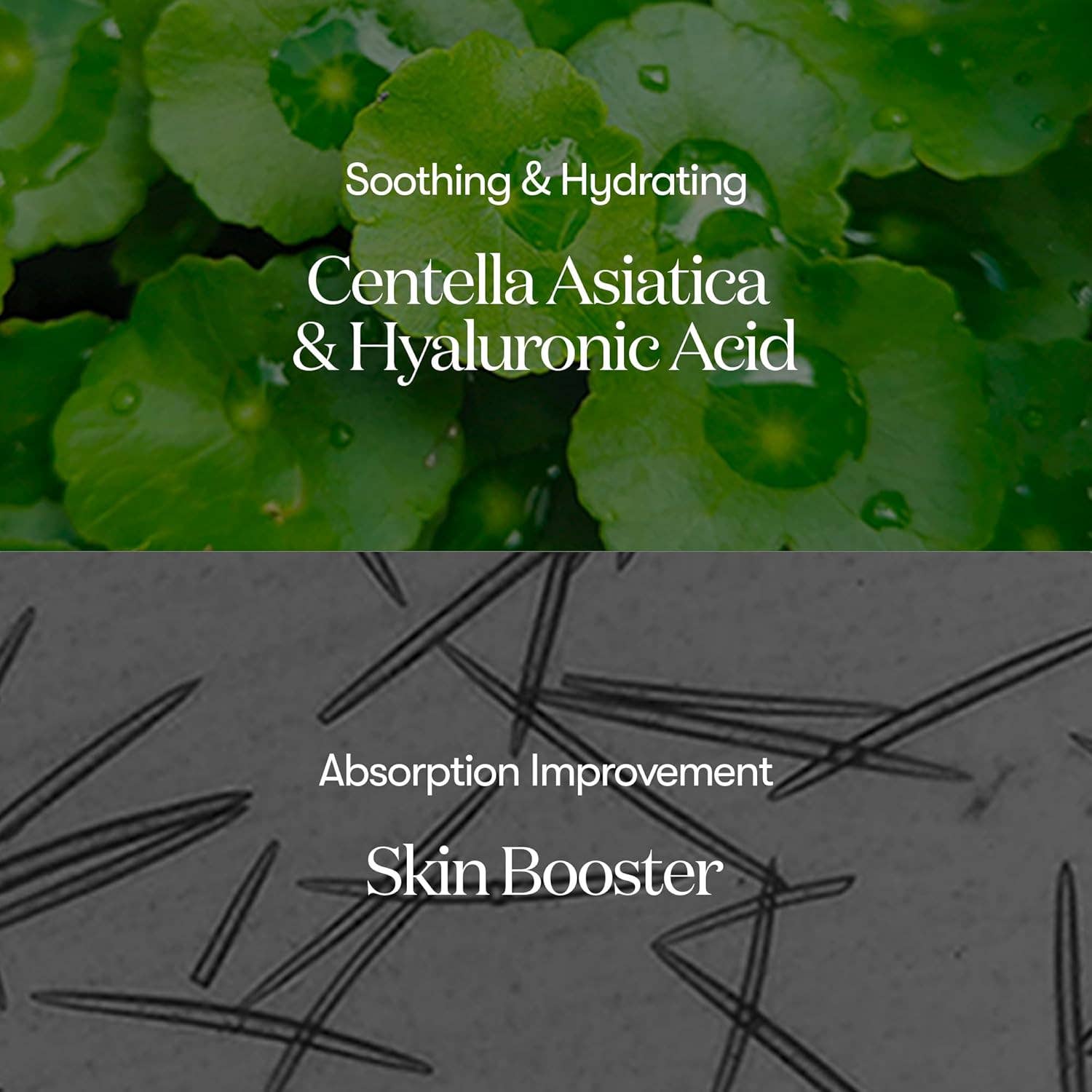 Sol Beauty Lab - Wholesale Facial Serum/Concentrate - VT COSMETICS CICA Reedle Shot 1001