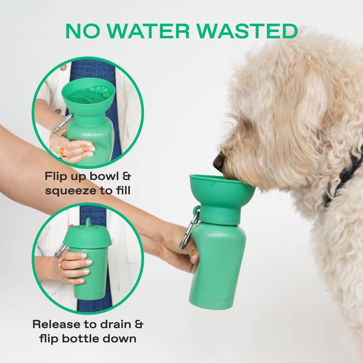 Springland Pets – wholesale Pet water bottle – Dog – Dog Travel Water Bottle - 20oz Flip (12 Pack)1
