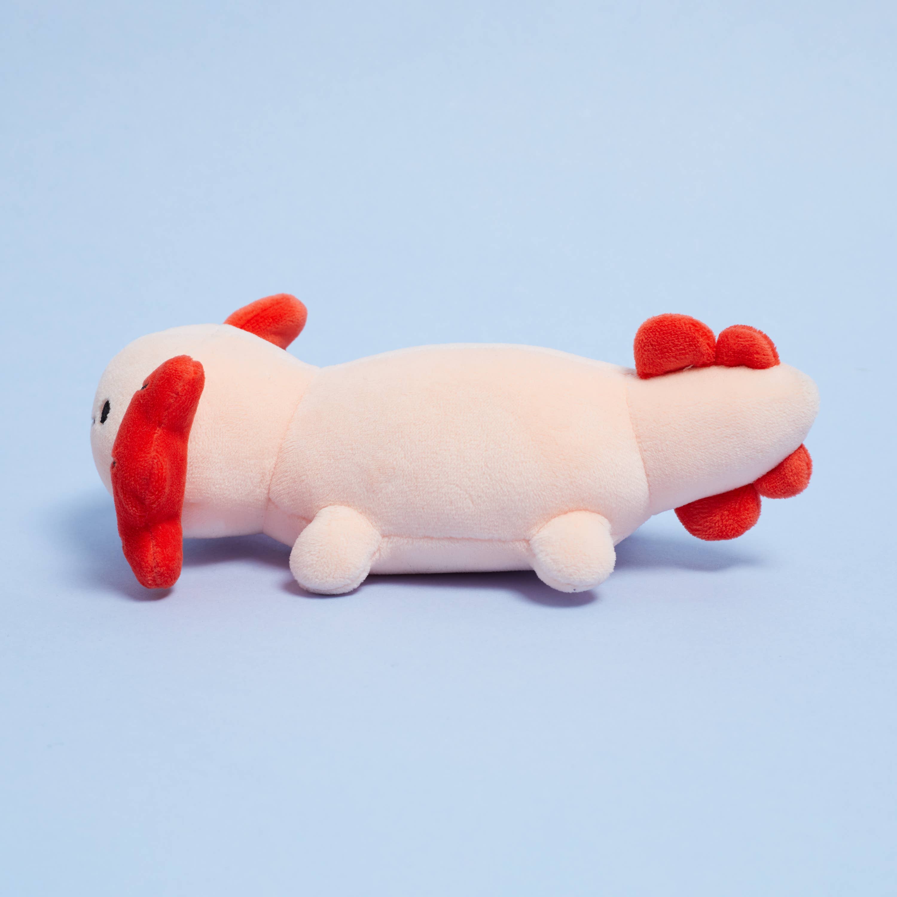 Higglebees – wholesale Stuffed/plush toy – Kids & baby – "Axo-Little" Axolotl Plush Toy4