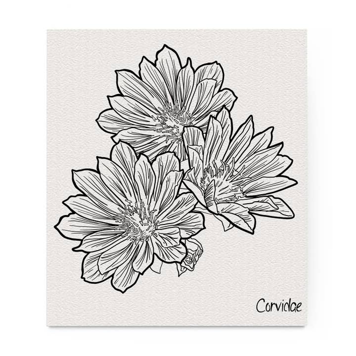 Pano de prato sueco Bitterroot por atacado de Corvidae drawings & designs