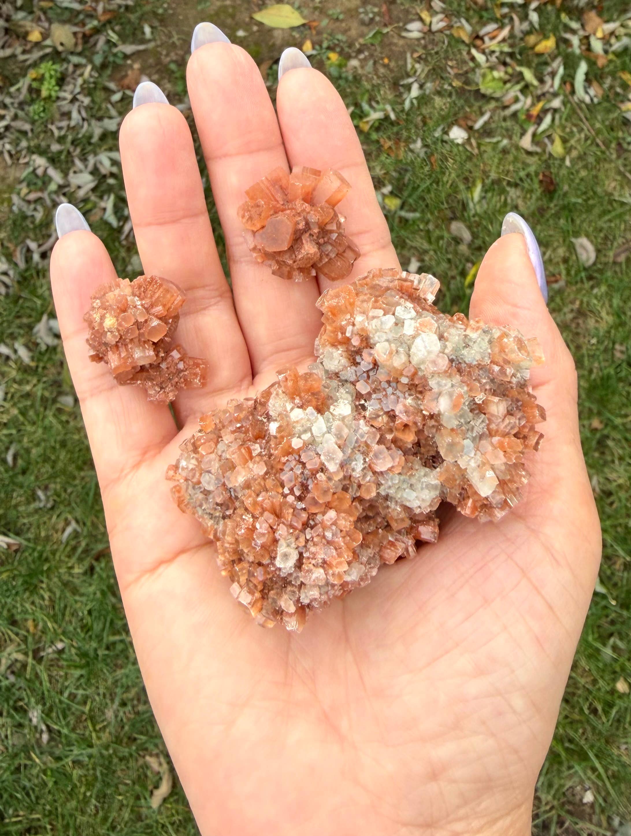 KayleeNYC - Wholesale Spiritual Stone/Crystal - 2 lbs Natural Aragonite Cluster Raw Crystal6