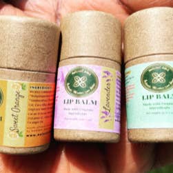 BAOBAB/PEPPERMINT LIP BALM for wholesale by Natural AWA (Authentic Wonders from Africa)