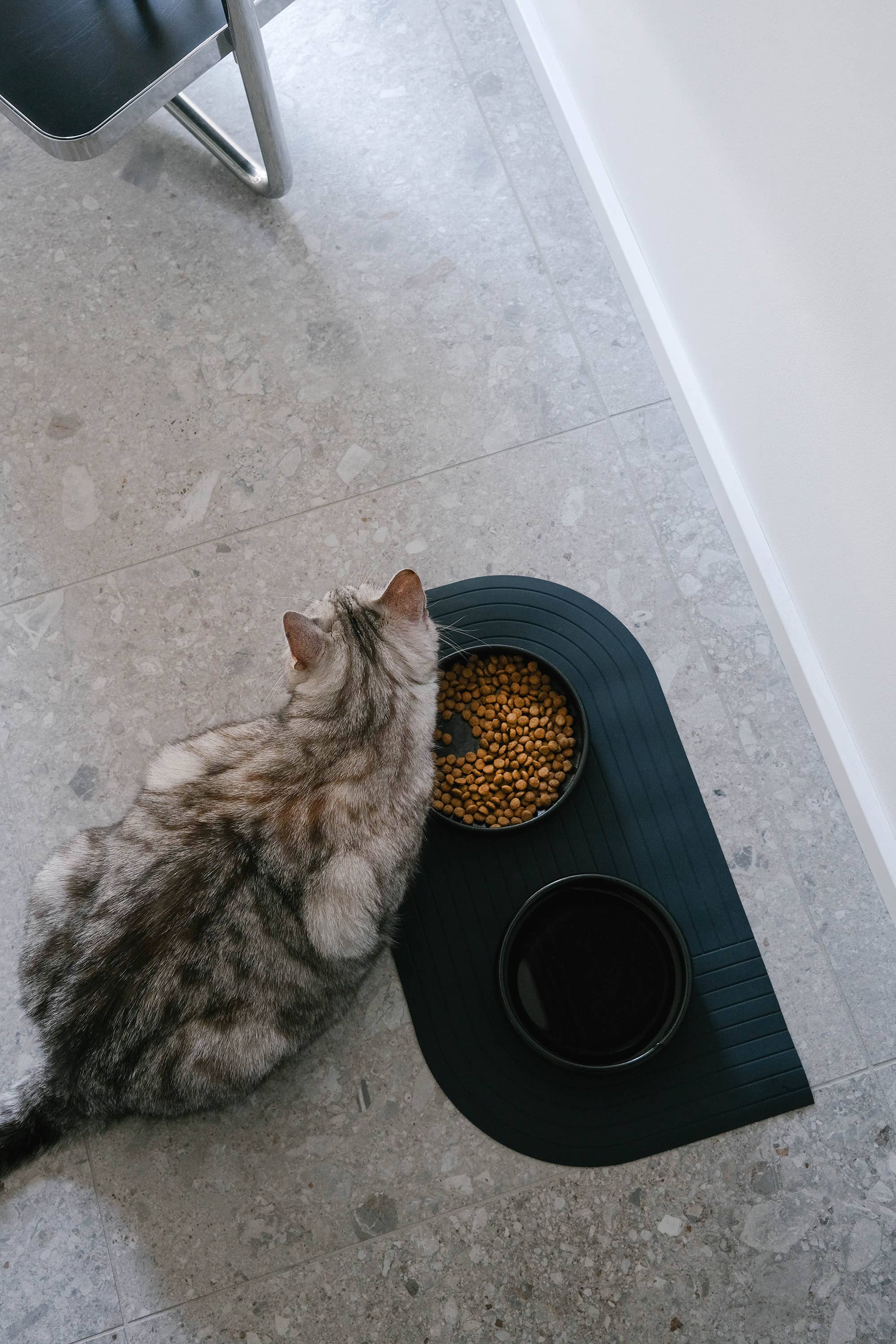 The Catery – Großhandel Futternapf – Katze/Hund – Gourmet Wassernapf Schwarz1