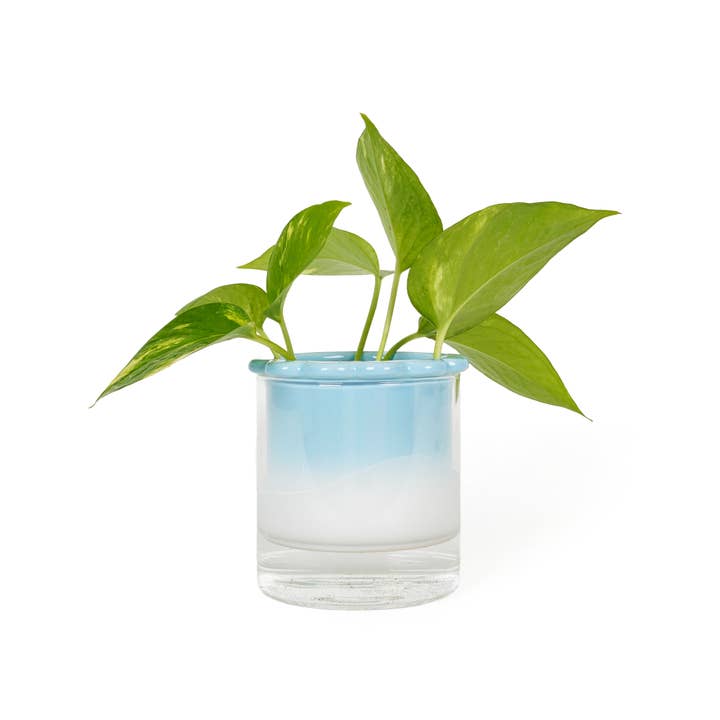 Helio Ferretti - Wholesale Vase - HYDROPONIC VASE CELESTINA HF1