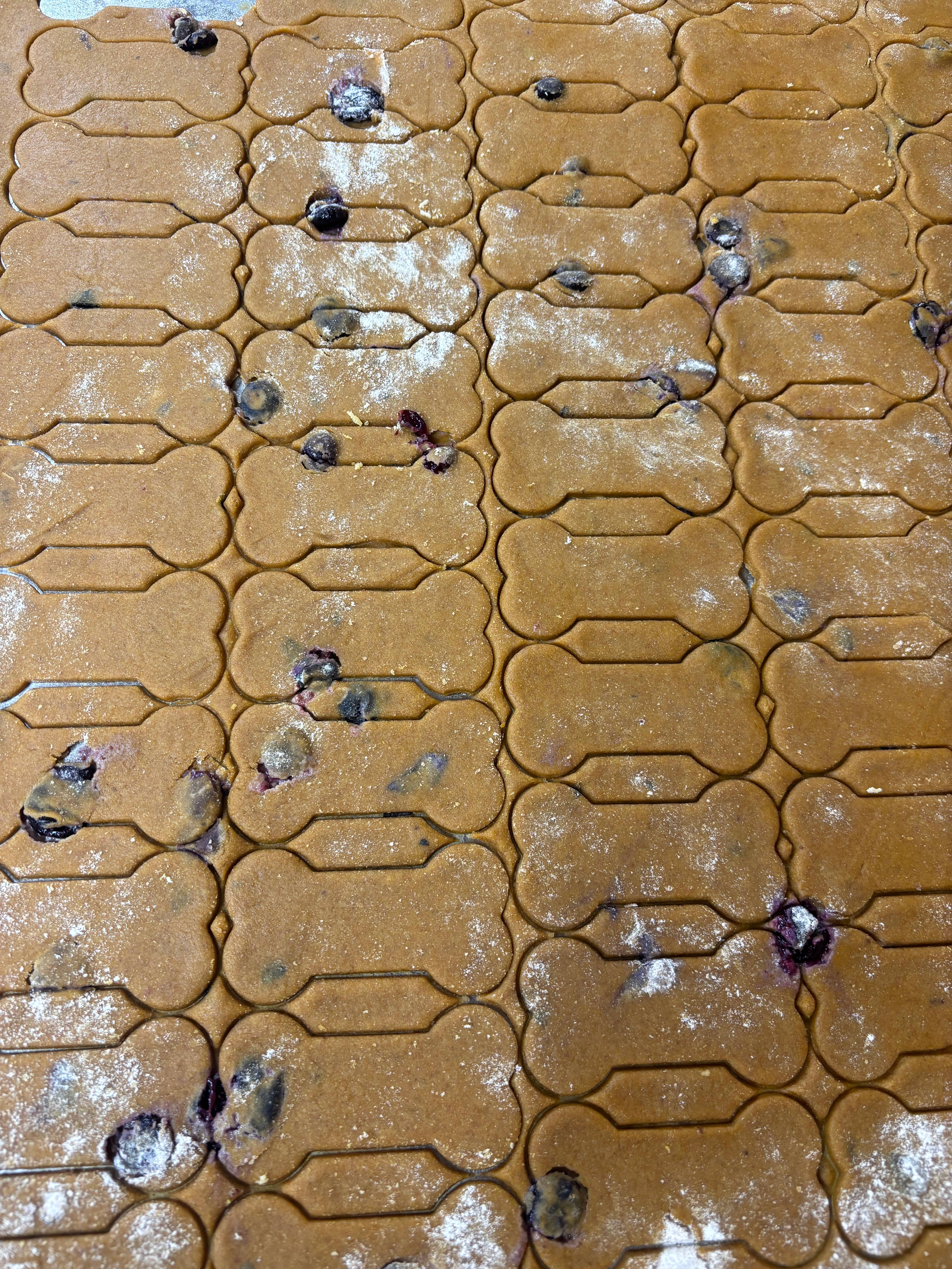 Kodee’s Krunchies - Wholesale Pet Treats - Dog - Blueberry All Natural Dog Treats2