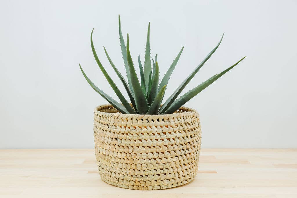 Gitzell FairTrade - Wholesale Plant Pot - Potted Planter, palm leaf1