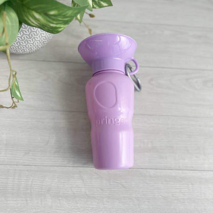 My Pawchella - Wholesale Pet Water Bottle - Dog - Springer Water Bottle3