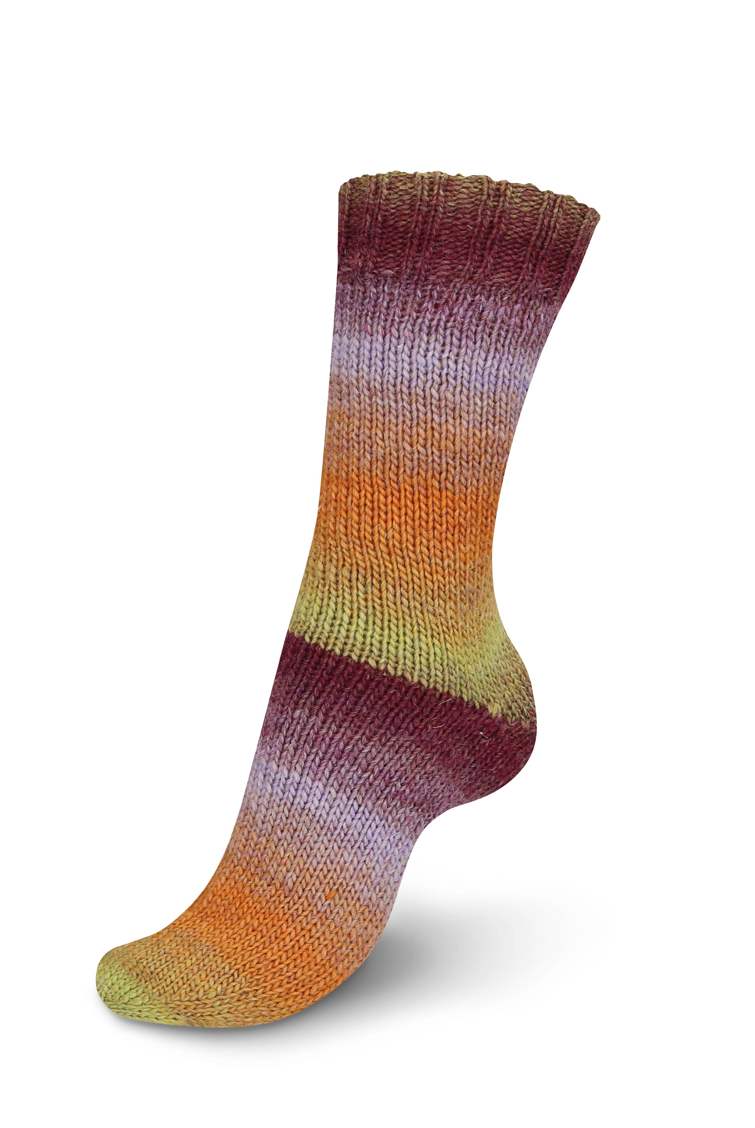 MEZ Crafts Germany – wholesale Garn – REGIA Virtuoso Color strumpa ull 5x150g16