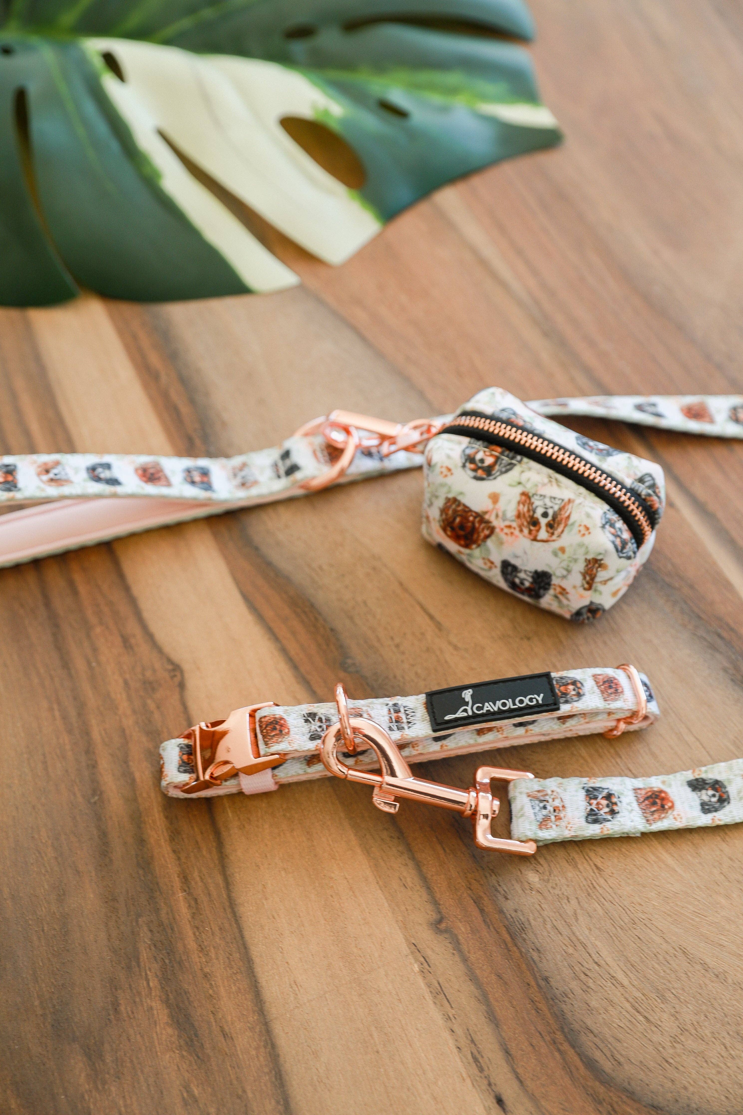 Cavology - Wholesale Pet Poop Bag Dispenser - WASTE BAG DISPENSER - Cavalier King Charles Spaniel1