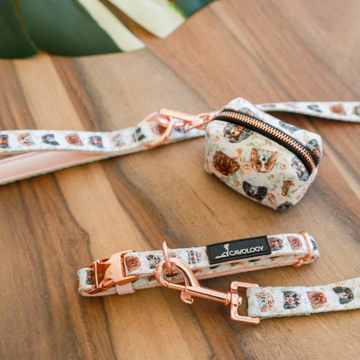 Cavology - Vente Distributeur de sacs à déjections canines - DISTRIBUTEUR DE SACS À DÉCHETS - Cavalier King Charles Spaniel1